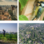 Best of Biodiversité