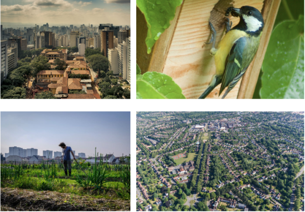 Best of Biodiversité