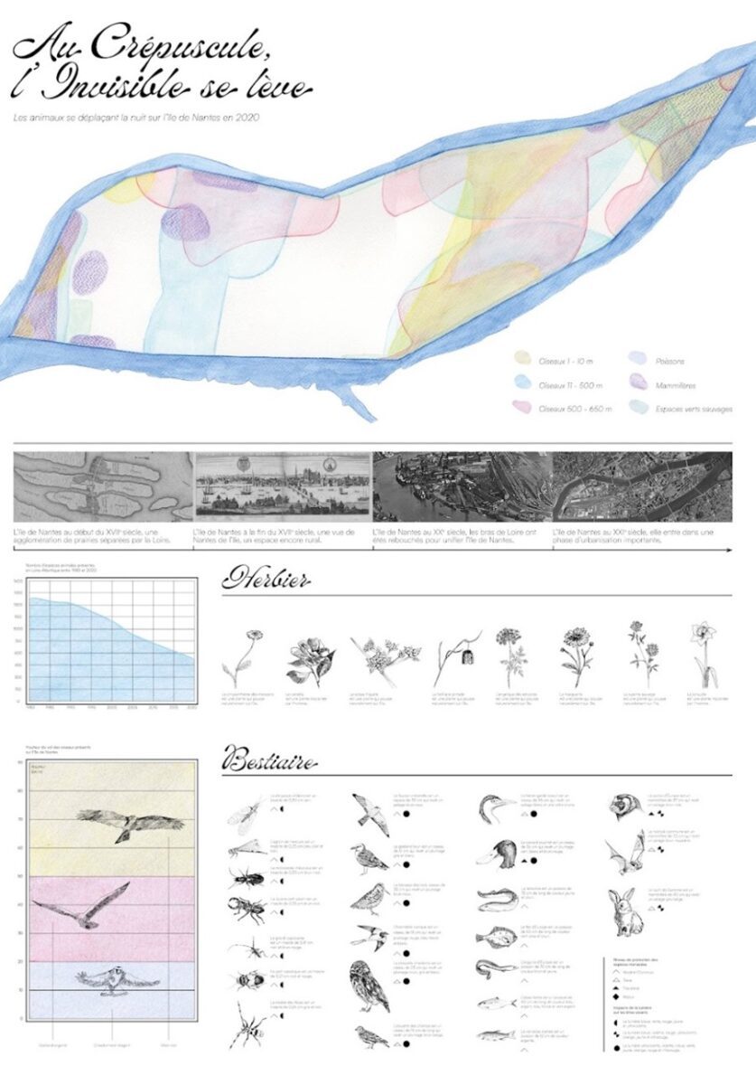 Cartographie biodiversité nocturne sur l’île de Nantes - Séminaire Dark Design © Bachelor Graphisme / City Design Lab